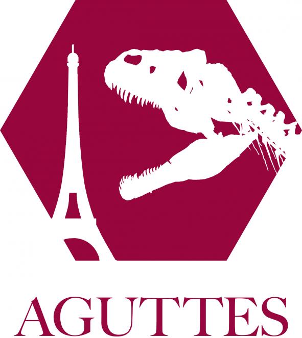 Aguttes picture